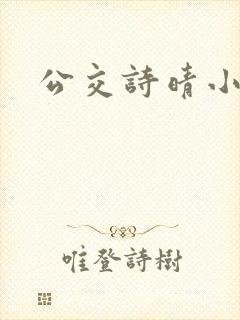 公交诗晴小说封面