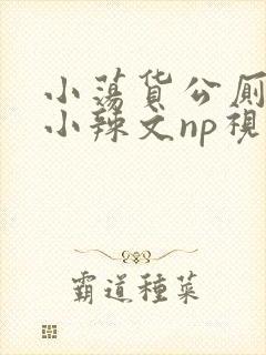 小荡货公厕h文小辣文np视频