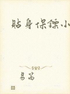 贴身保镖小说