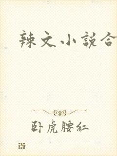 辣文小说合集