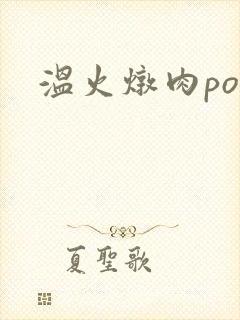 温火炖肉pop