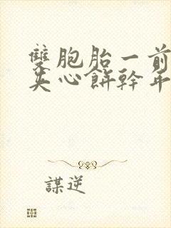 双胞胎一前一后夹心饼干年下