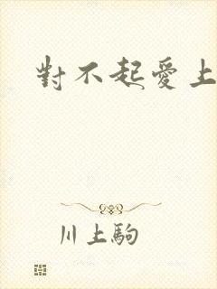 对不起爱上你