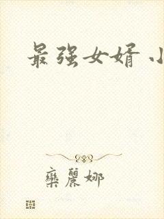 最强女婿 小说