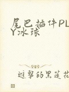尾巴插件PLAY冰球