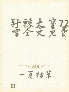 轩辕大宝720雪全文免费阅读