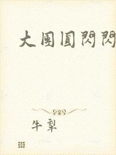 大团圆闪闪发光
