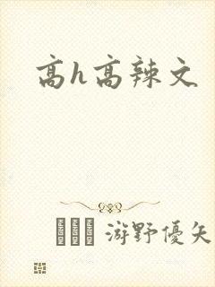 高h高辣文