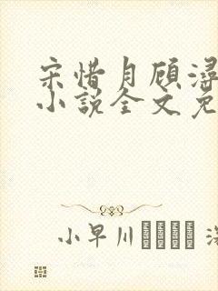 宋惜月顾浔渊的小说全文免费阅读封面