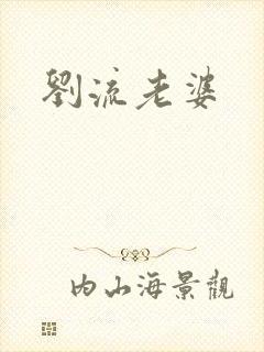 刘流老婆