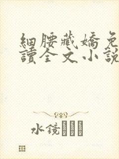 细腰藏娇免费阅读全文小说苏珞浅