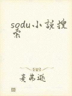 sodu小说搜索