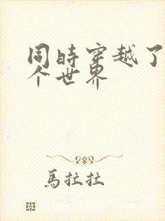 同时穿越了99个世界