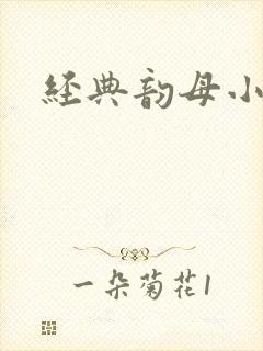 经典韵母小说