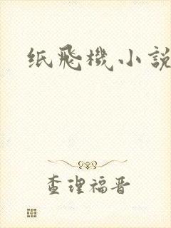 纸飞机小说