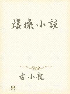 爆操小说