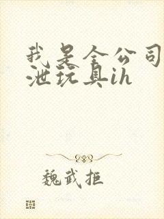 我是全公司的发泄玩具ih