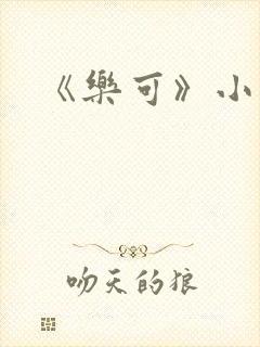 《乐可》小说