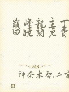巅峰龙主丁长顺田晓兰免费阅读