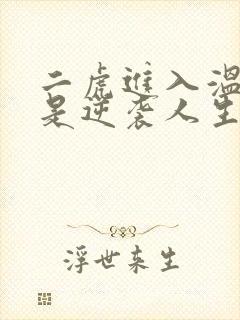 二虎进入温如玉是逆袭人生封面