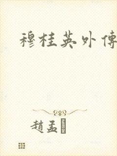 穆桂英外传