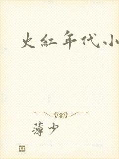 火红年代小说