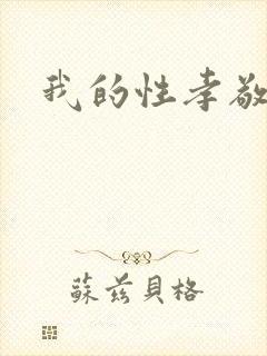 我的性孝敬封面