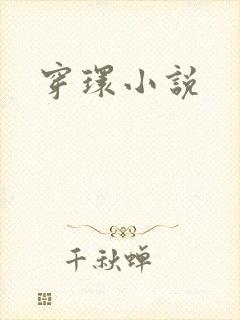 穿环小说