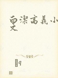 白洁高义小说全文