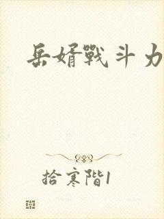 岳婿战斗力