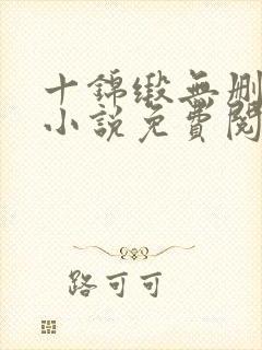 十锦缎无删原著小说免费阅读