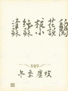 清纯校花的日常苏苏小说阅读全文封面