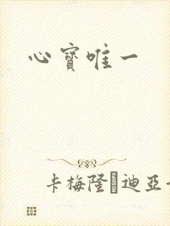心宝唯一