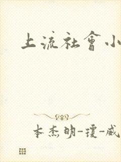 上流社会小说