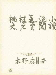 桃枝气泡小说全文免费阅读