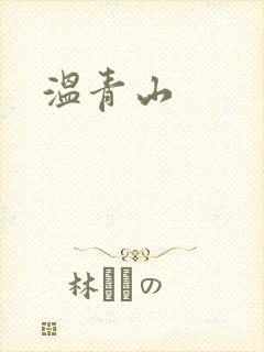 温青山封面