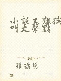 小说又想挨C了叫大声点封面