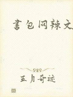 书包网辣文合集封面