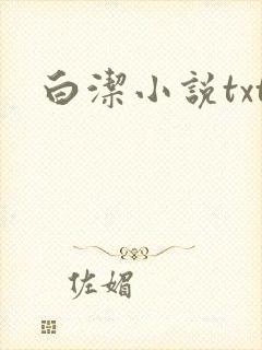 白洁小说txt