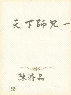 天下师兄一般黑封面