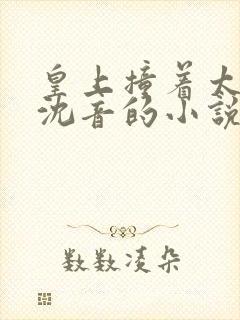 皇上撞着太子妃沈音的小说叫什么