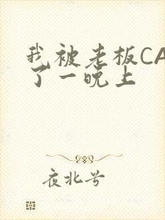 我被老板CAO了一晚上