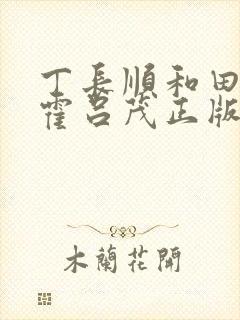 丁长顺和田晓兰霍吕茂正版