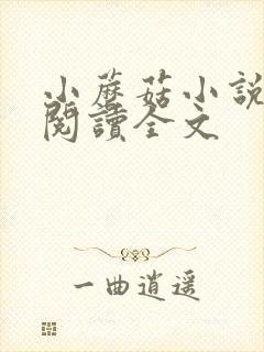 小蘑菇小说免费阅读全文