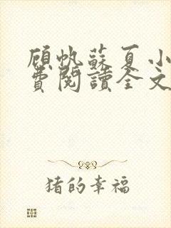 顾帆苏夏小说免费阅读全文