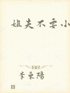 姐夫不要小说