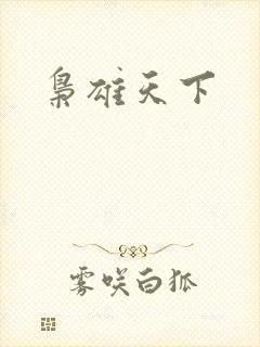 枭雄天下