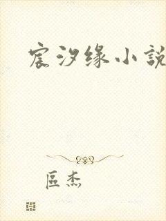 宸汐缘小说封面