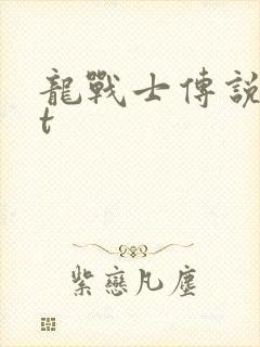 龙战士传说txt