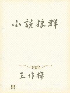 小说狼群